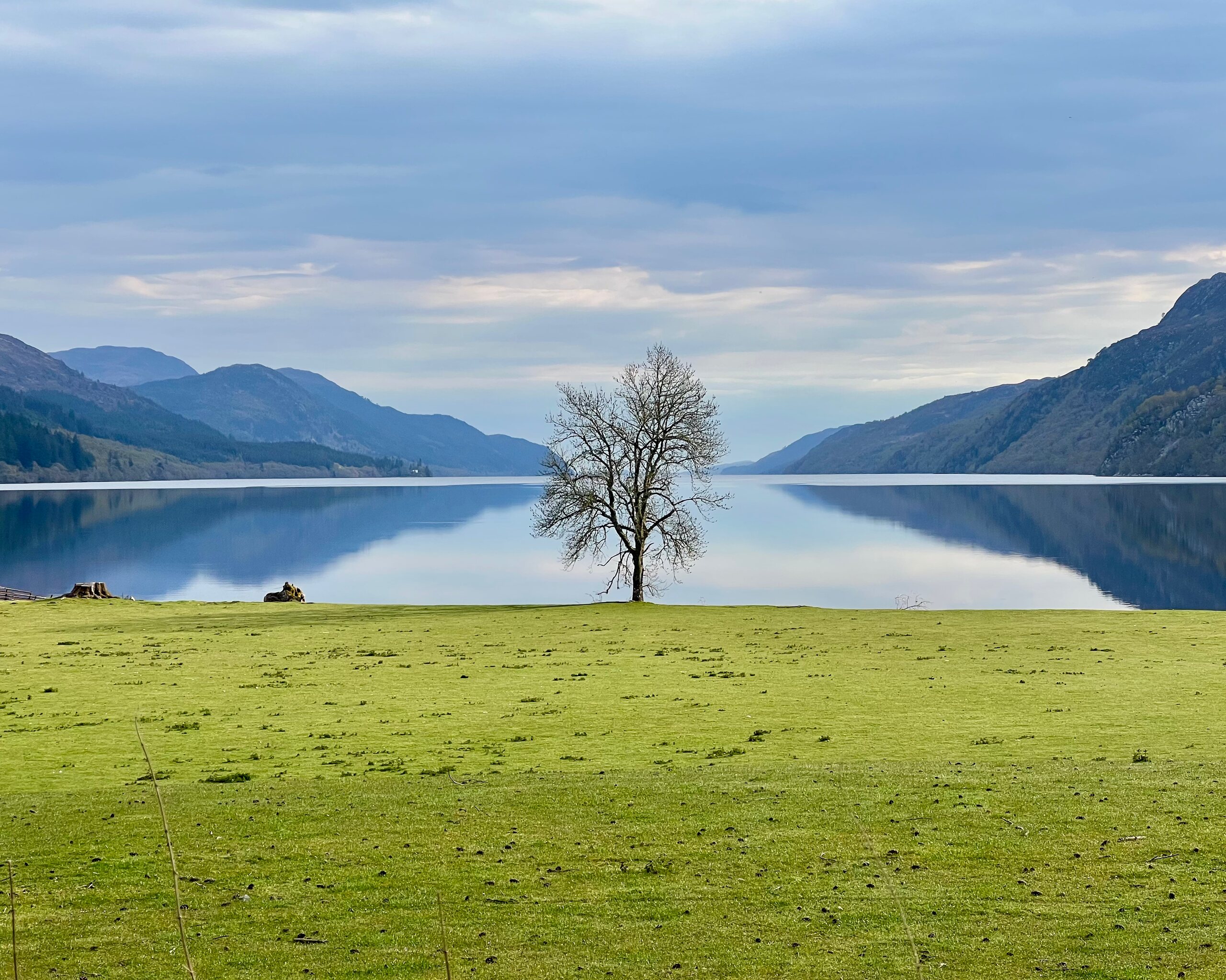 A lone leafless tree beside Loch Ness, with still water and mountains beyond.